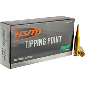 20rd Box Ammo