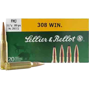 20rd Box Ammo