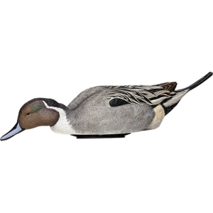 Avian X AVX-PSH-PNSF Pintail Species Multi-Color
