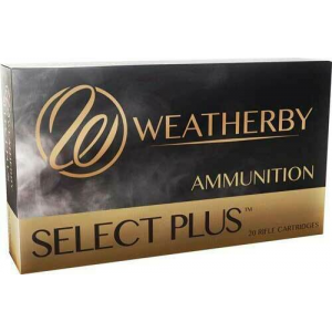 20rd Box Ammo