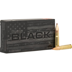 20rd Box Ammo
