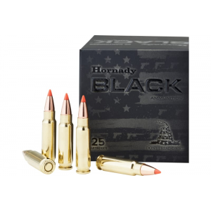 25rd Box Ammo
