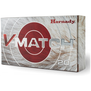 20rd Box Ammo