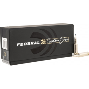 20rd Box Ammo