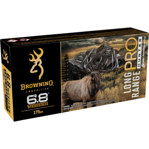 20rd Box Ammo