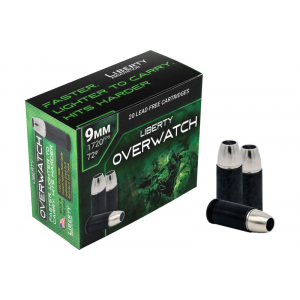 20rd Box Ammo