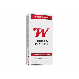 20rd Box Ammo
