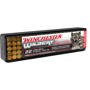 100rd Box Ammo