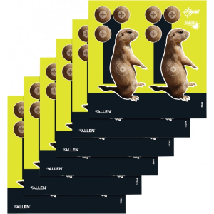 EZ AIM Splash NON-ADHESIVE 8X8 Prairie DOG 6 PAC