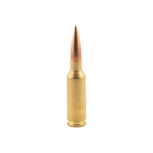 Barnes Precision Match 6mm ARC 105gr OTM BT 20rd