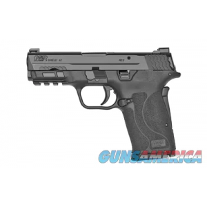 Smith & Wesson M&P9 M2.0 Shield EZ 13002 image