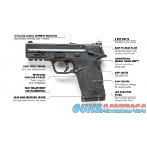Smith & Wesson S&W SHIELD 2.0 380ACP 8RD BLK TS EZ image