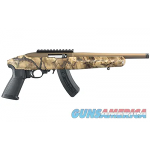 Ruger 22 Charger Go Wild 4934 image
