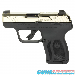 Ruger LCP Max (13742) image