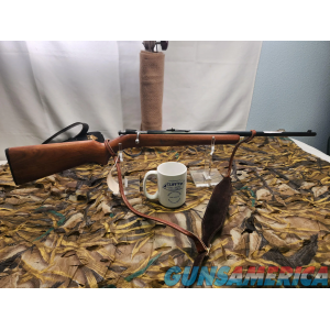 Winchester Model 60A (22LR) image