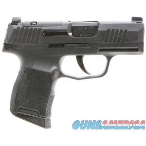 Sig Sauer 3659BXR3P P365 BXR Micro-Compact 9mm Luger 10+1 image