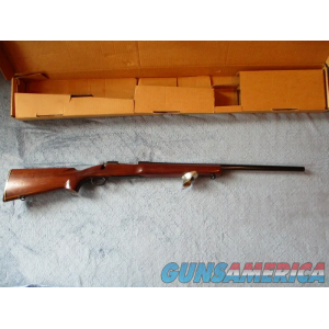 Winchester Model 70 Target with Marksman Stock image