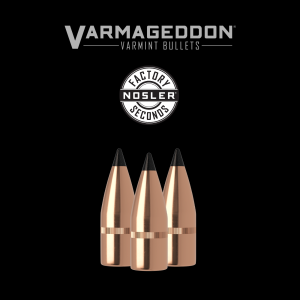 7.62x39 Caliber 123gr FB Tipped Varmageddon (Factory Seconds) | 100 Count