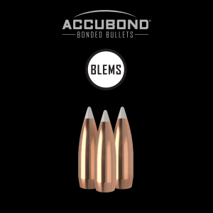 338 Caliber 180gr AccuBond (50ct) (BLEM)