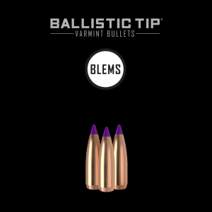 6mm 70gr Ballistic Tip Varmint (100ct) (BLEM)
