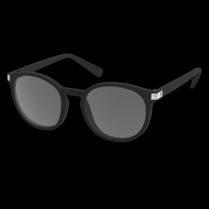 Adult Outdoor Sunglasses SCOTT Riff  grey black matt