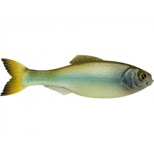 6th Sense Panorama 2.8" Jerkbait Ghost Minnow