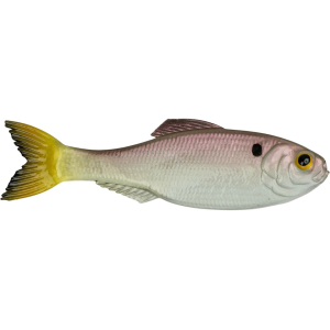 6th Sense Panorama 2" Jerkbait Ghost Pro Shad - 6Th Sense