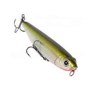 AZUMA Z Dog Topwater Olive Oil