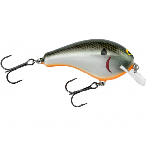 BAGLEY Balsa B2 Crankbait Tennessee Shad Orange Belly