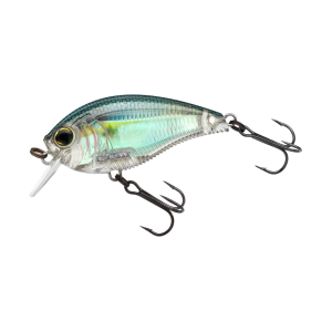 Yo-Zuri 3DB 1.5 Square Bill Crankbait Real Gizzard Shad - Yo-Zuri
