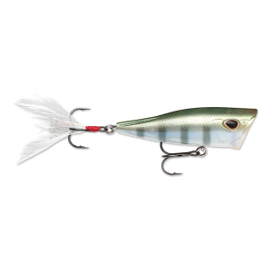 STORM Arashi Cover Pop 08 Topwater Bluegill