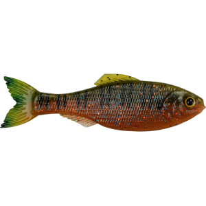 6TH SENSE Panorama 5