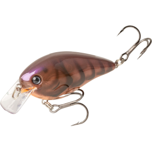 STRIKE KING KVD Square Bill 1.0 Crankbait Brown Phantom Craw