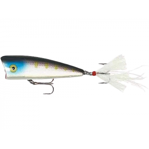 REBEL Pro Pop-R Plus Topwater Purple Shad