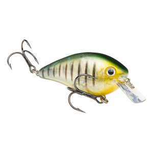 Strike King KVD Square Bill 2.5 Crankbait Phantom Perch