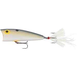 REBEL Teeny Pop-R Topwater Foxy Shad