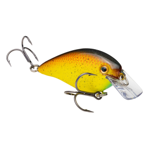 STRIKE KING KVD Square Bill 1.5 Crankbait Bully