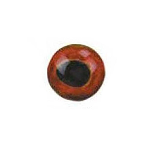 DO-IT MOLDS Hyper HD Series Lure Eyes 6mm Bronzeback 100PK