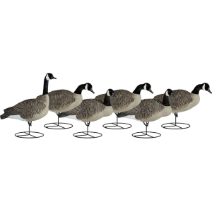 Dakota Decoy Signature Series Full Body Fully Flocked Upright Canada Goose Decoy 6PK with Bags