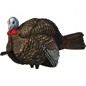 Avian X LCD 1/2 Strut Jake Turkey Decoy - Avian X