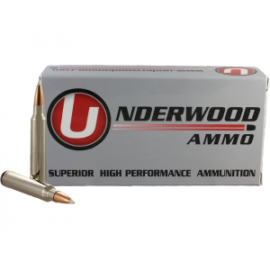 erwood 300 Winchester Magnum 165 Grain Nosler AccuBond Polymer Tip Box Of 20 Ammo