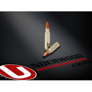 erwood 7mm-08 Remington 150 Grain Nosler AccuBond Long Range Polymer Tip Box Of 20 Ammo
