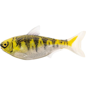 LIVETARGET Shad 6.5