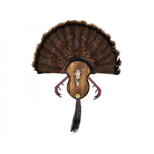 Mountain Mike's Utimate Turkey Fan Mounting Plaque