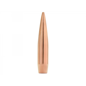 FACTORY SECOND BULLETS Factory Second Match 6mm, 243 Caliber (243 Diameter) Bullets 110 Grain Jacketed Hollow Point Box of 100 (Bulk Packaged)