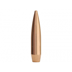 FACTORY SECOND BULLETS Factory Second Match 6mm, 243 Caliber (243 Diameter) Bullets 107 Grain Jacketed Hollow Point Box of 100 (Bulk Packaged)