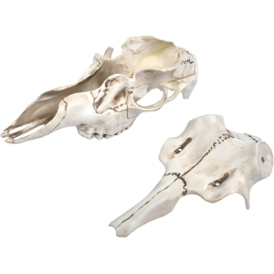 Mountain Mikes Skull Master Natural Causes Universal Antler Mounting Kit - Mountain Mike's