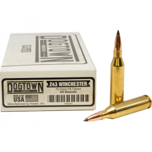 town 243 Winchester 70 Grain Polymer Tip Box Of 20 Ammo