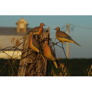 GHG Mourning Dove Decoy 6PK