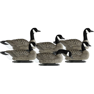 Dakota Decoys X-treme Lesser Floater Canada Goose Decoys 6PK